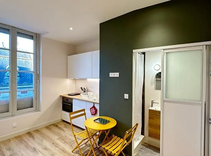 Bressigny/t1/centre-ville/wi-fi Lägenhet *